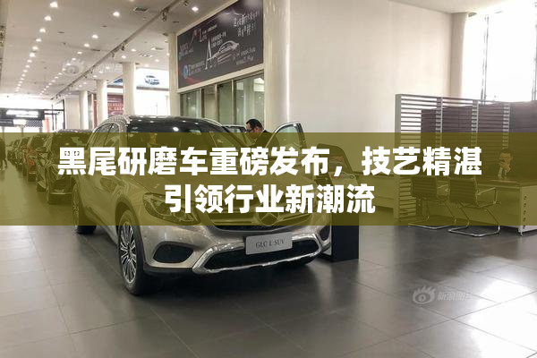 黑尾研磨车重磅发布，技艺精湛引领行业新潮流