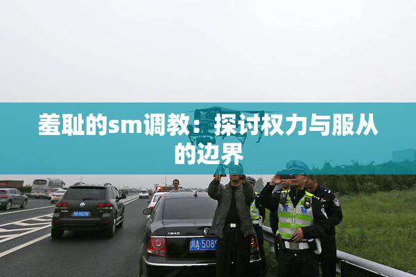 羞耻的sm调教：探讨权力与服从的边界