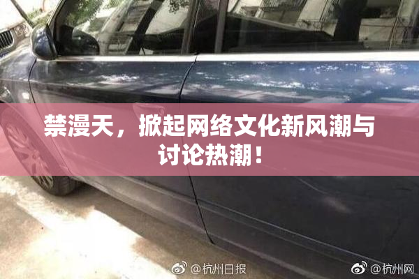 禁漫天，掀起网络文化新风潮与讨论热潮！