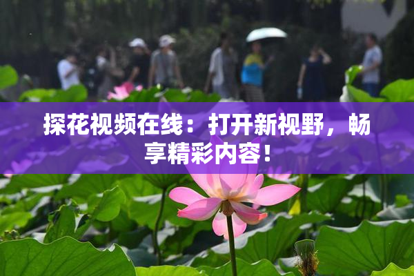 探花视频在线：打开新视野，畅享精彩内容！