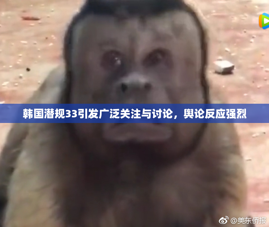 韩国潜规33引发广泛关注与讨论，舆论反应强烈