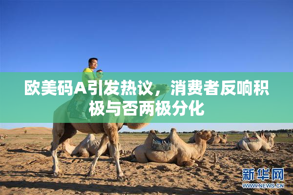 欧美码A引发热议，消费者反响积极与否两极分化