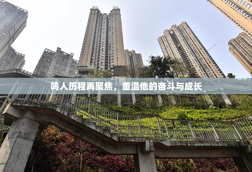 鸣人历程再聚焦，重温他的奋斗与成长