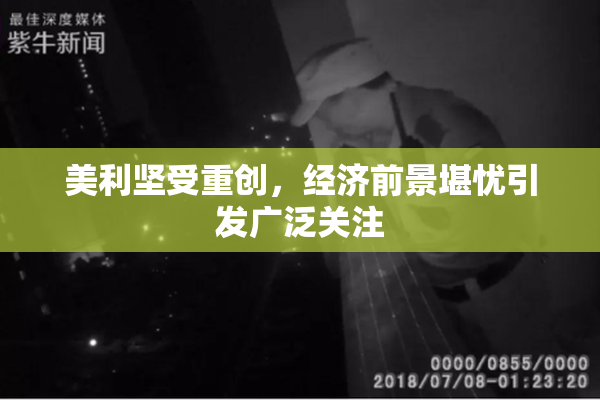 美利坚受重创，经济前景堪忧引发广泛关注