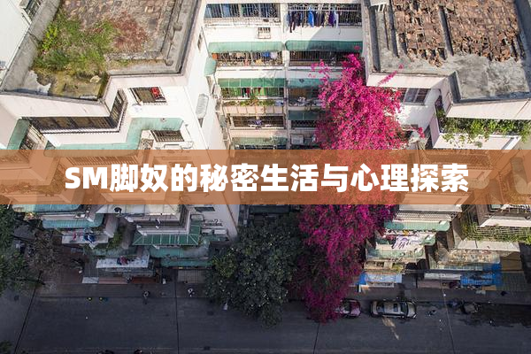 SM脚奴的秘密生活与心理探索