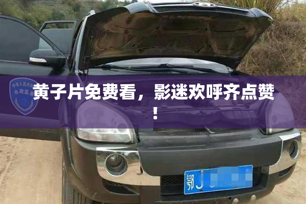 黄子片免费看，影迷欢呼齐点赞！
