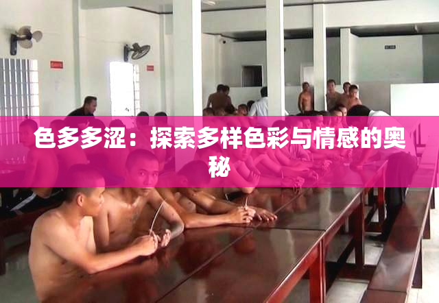 色多多涩：探索多样色彩与情感的奥秘