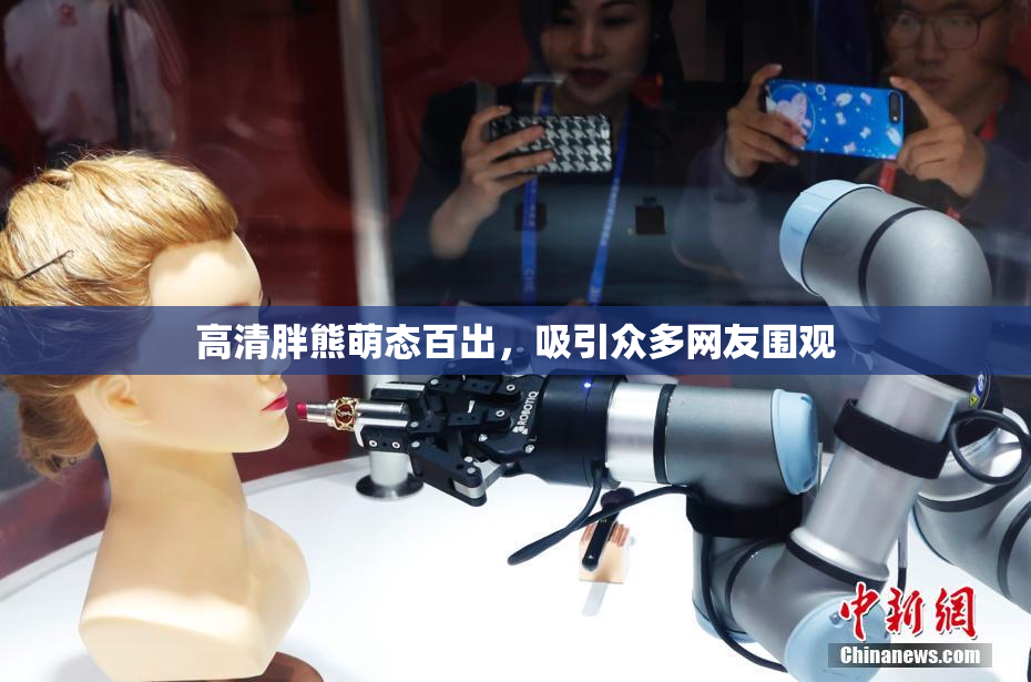 高清胖熊萌态百出，吸引众多网友围观