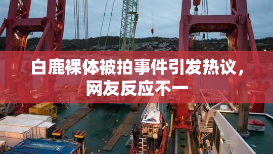 白鹿裸体被拍事件引发热议，网友反应不一