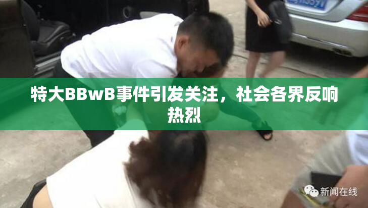 特大BBwB事件引发关注，社会各界反响热烈