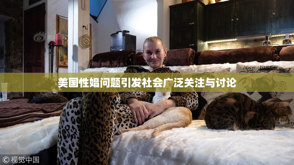 美国性娼问题引发社会广泛关注与讨论