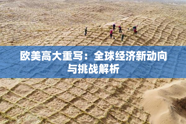 欧美高大重写：全球经济新动向与挑战解析