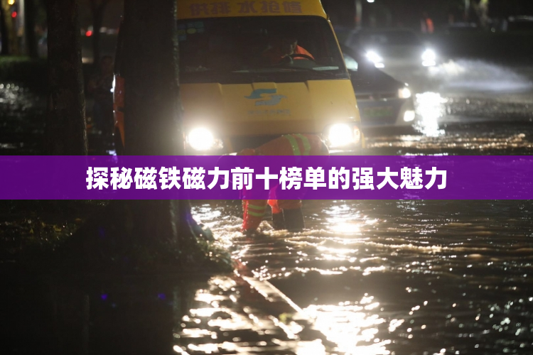 探秘磁铁磁力前十榜单的强大魅力