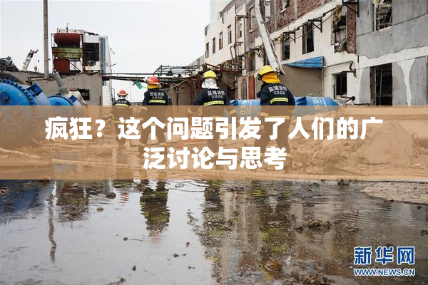 疯狂？这个问题引发了人们的广泛讨论与思考