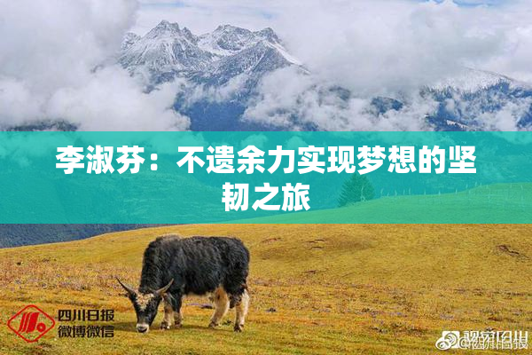 李淑芬：不遗余力实现梦想的坚韧之旅