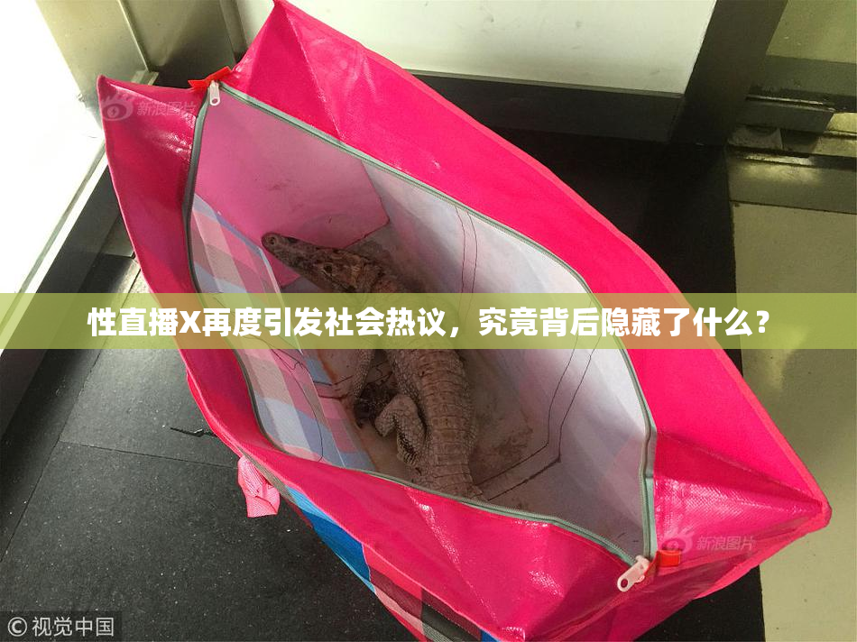 性直播X再度引发社会热议，究竟背后隐藏了什么？