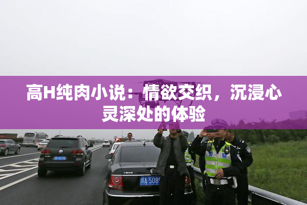 高H纯肉小说：情欲交织，沉浸心灵深处的体验