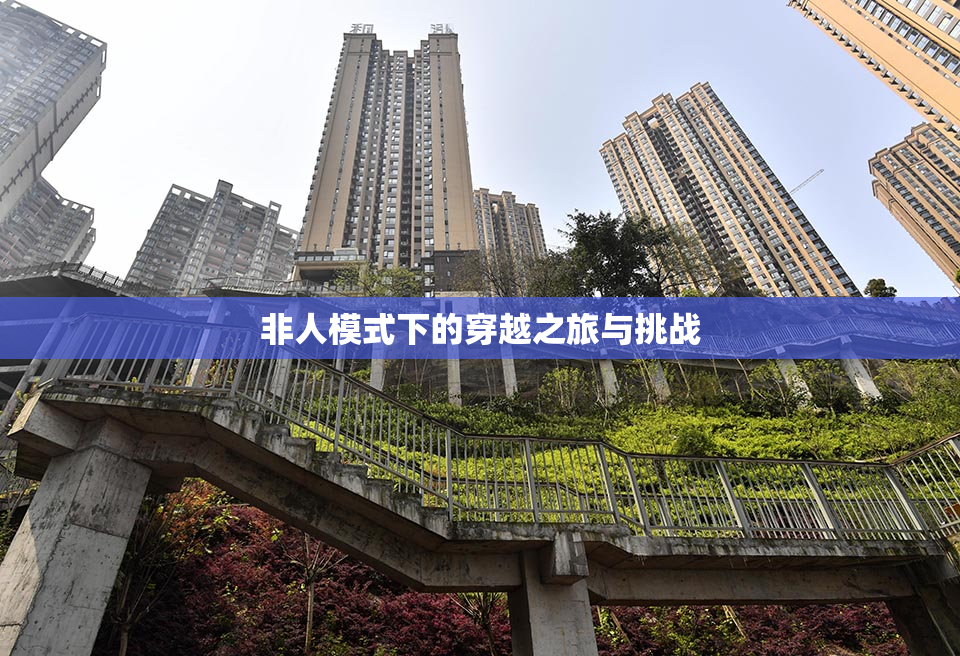 非人模式下的穿越之旅与挑战