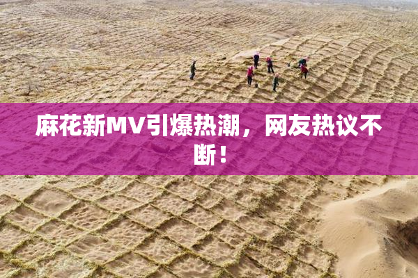 麻花新MV引爆热潮，网友热议不断！