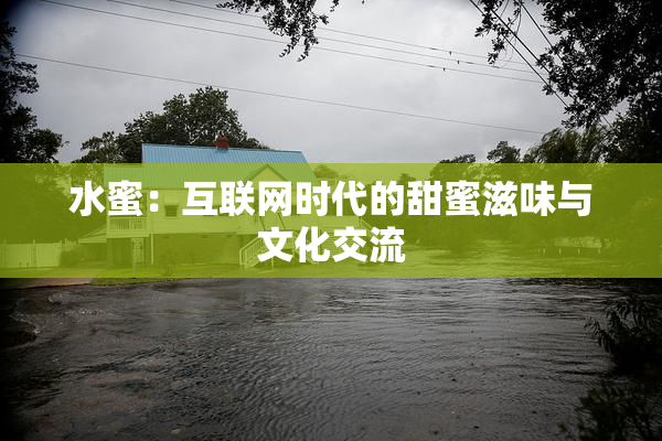 水蜜：互联网时代的甜蜜滋味与文化交流
