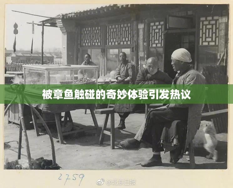 被章鱼触碰的奇妙体验引发热议