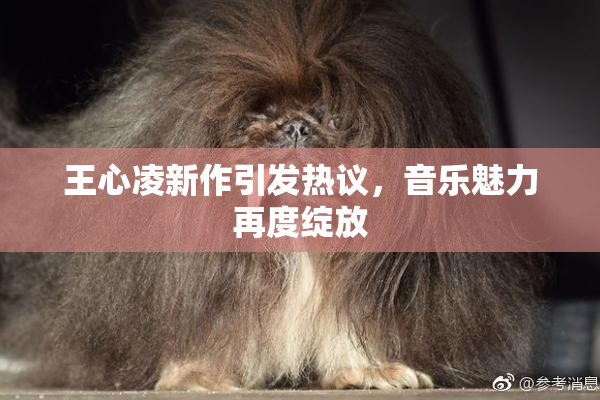 王心凌新作引发热议，音乐魅力再度绽放