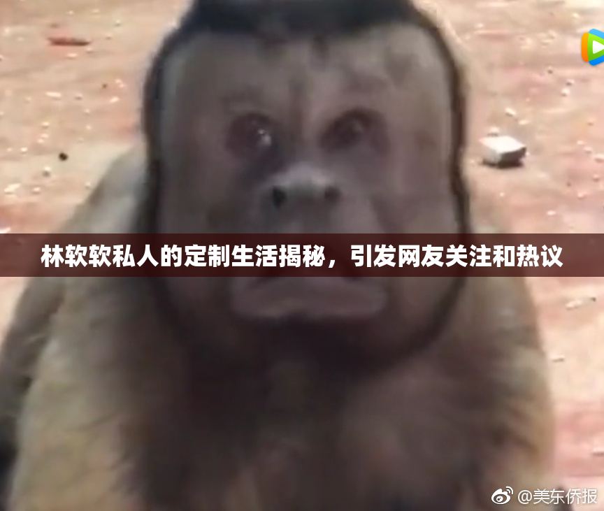 林软软私人的定制生活揭秘，引发网友关注和热议