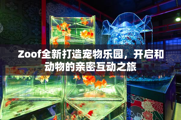 Zoof全新打造宠物乐园，开启和动物的亲密互动之旅