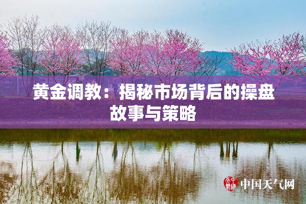 黄金调教：揭秘市场背后的操盘故事与策略
