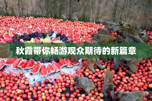 秋霞带你畅游观众期待的新篇章