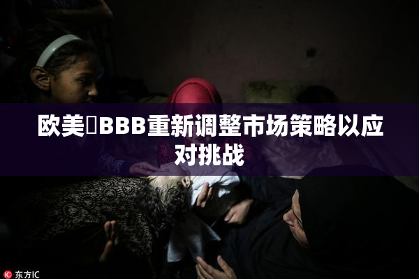 欧美槡BBB重新调整市场策略以应对挑战