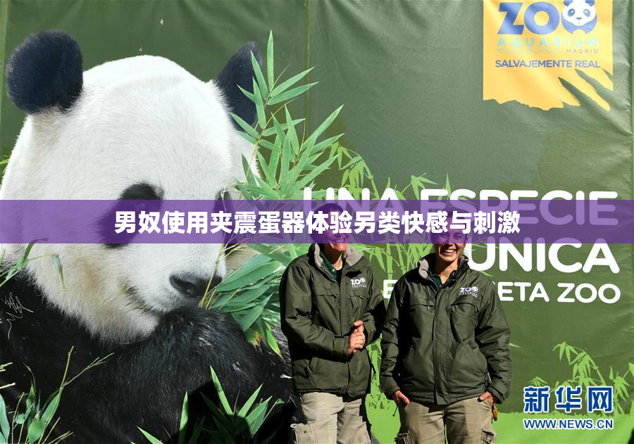 男奴使用夹震蛋器体验另类快感与刺激