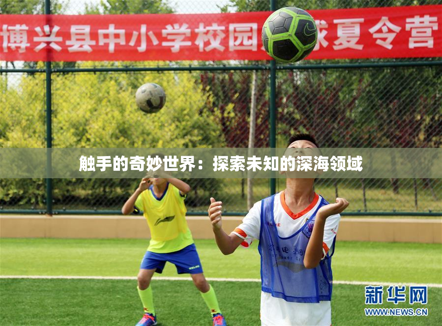触手的奇妙世界：探索未知的深海领域
