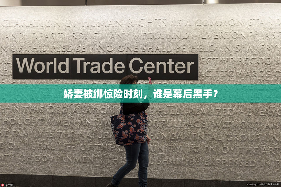 娇妻被绑惊险时刻，谁是幕后黑手？