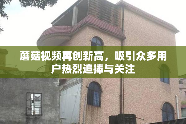 蘑菇视频再创新高，吸引众多用户热烈追捧与关注