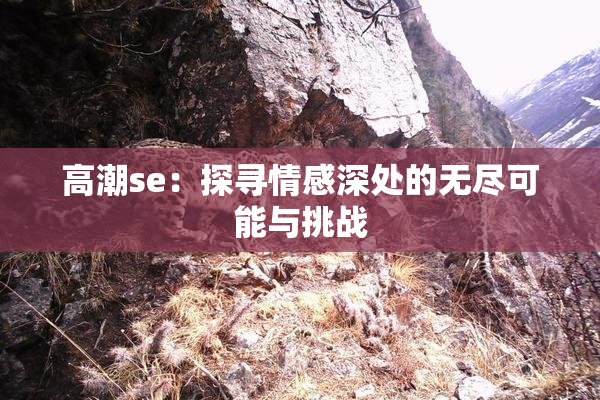 高潮se：探寻情感深处的无尽可能与挑战