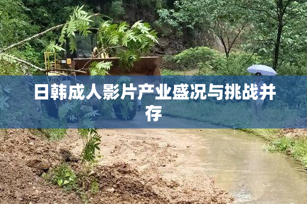 日韩成人影片产业盛况与挑战并存