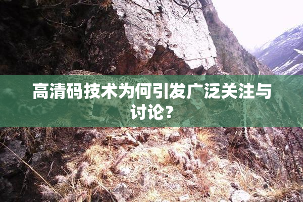 高清码技术为何引发广泛关注与讨论？