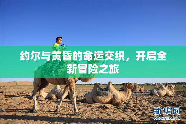 约尔与黄昏的命运交织，开启全新冒险之旅