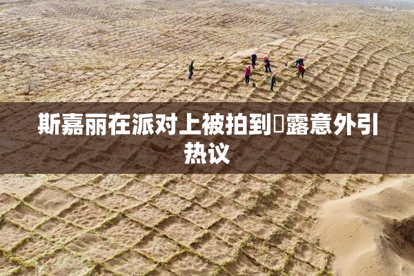 斯嘉丽在派对上被拍到祼露意外引热议