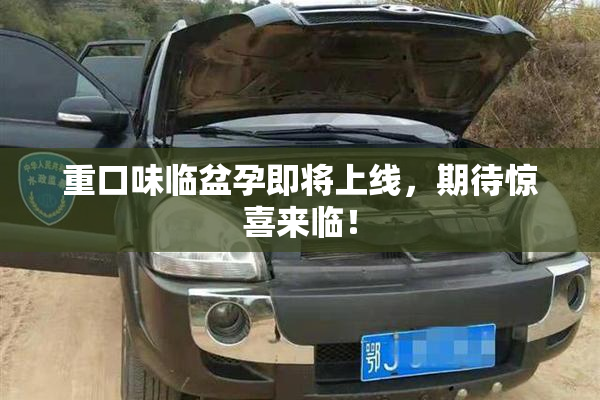 重口味临盆孕即将上线，期待惊喜来临！