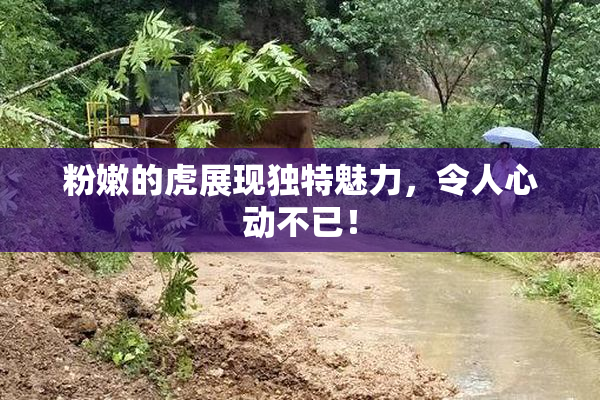 粉嫩的虎展现独特魅力，令人心动不已！