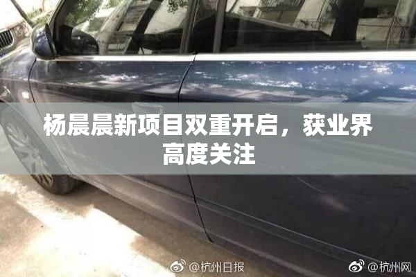 杨晨晨新项目双重开启，获业界高度关注