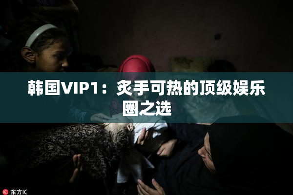 韩国VIP1：炙手可热的顶级娱乐圈之选