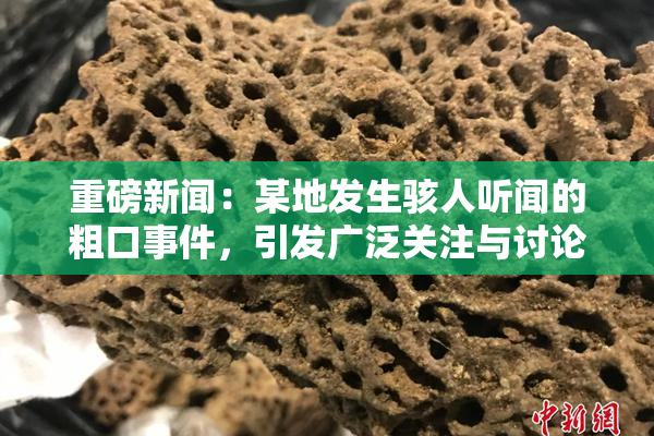 重磅新闻：某地发生骇人听闻的粗口事件，引发广泛关注与讨论