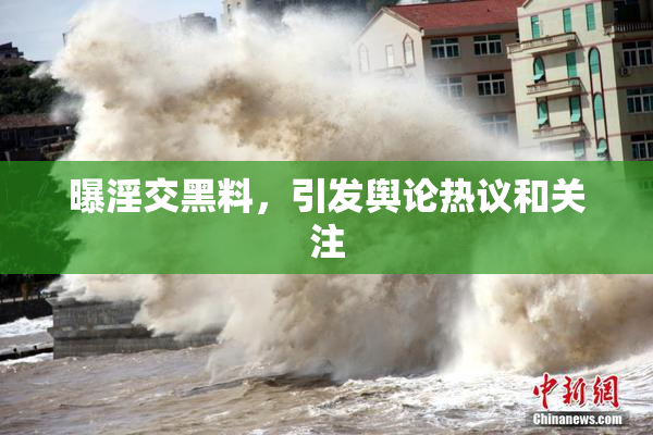 曝淫交黑料，引发舆论热议和关注