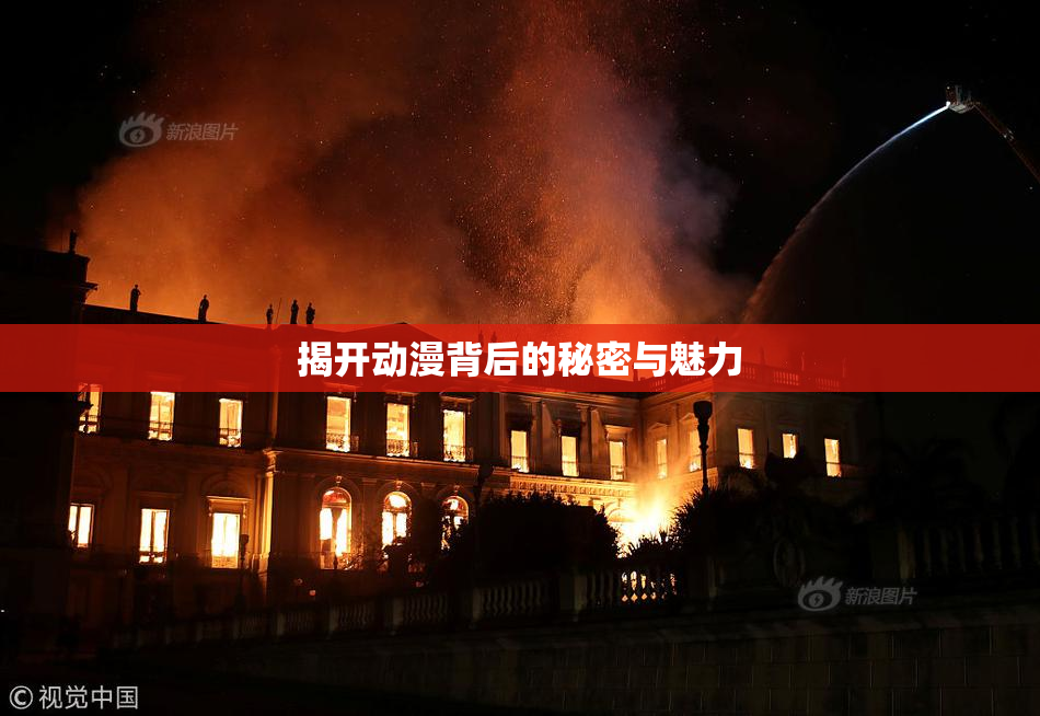 揭开动漫背后的秘密与魅力