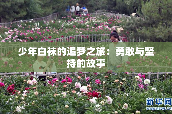 少年白袜的追梦之旅：勇敢与坚持的故事