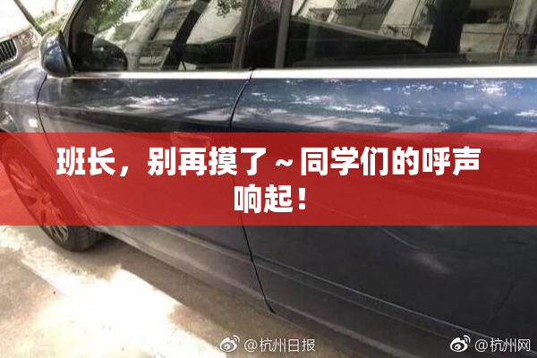 班长，别再摸了～同学们的呼声响起！