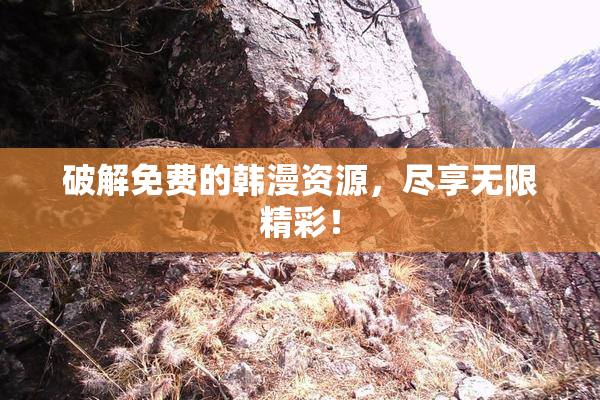 破解免费的韩漫资源，尽享无限精彩！
